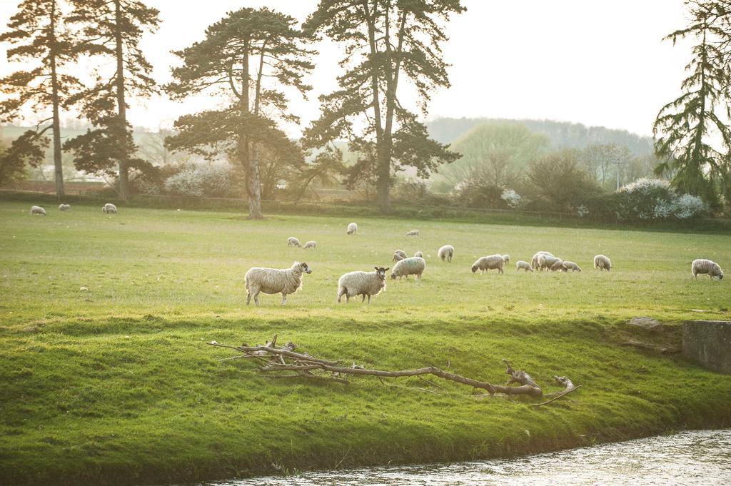 Bed and Breakfast The Bell, Alderminster Stratford-upon-Avon Exteriér fotografie
