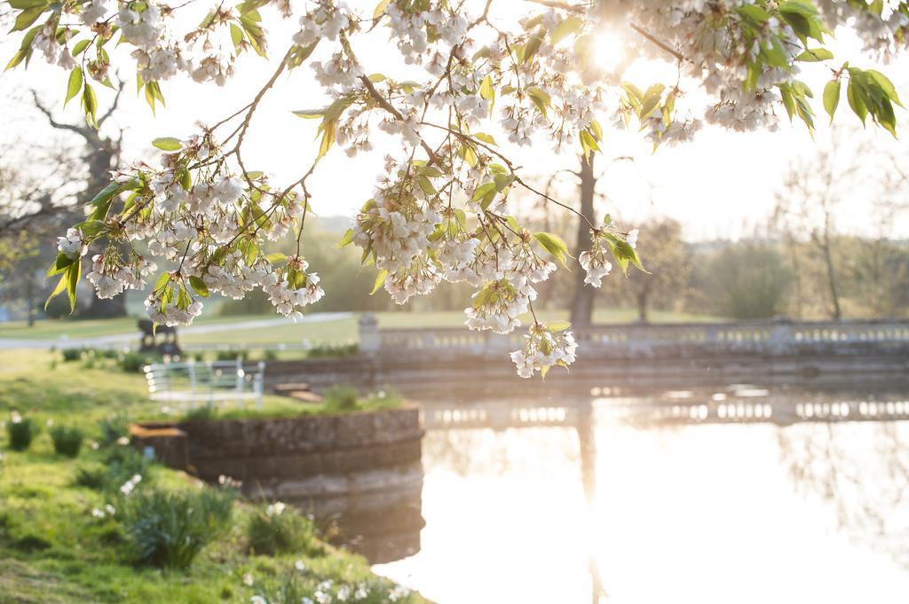 Bed and Breakfast The Bell, Alderminster Stratford-upon-Avon Exteriér fotografie