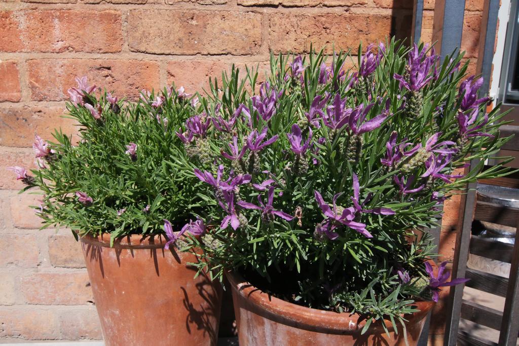 Bed and Breakfast The Bell, Alderminster Stratford-upon-Avon Exteriér fotografie